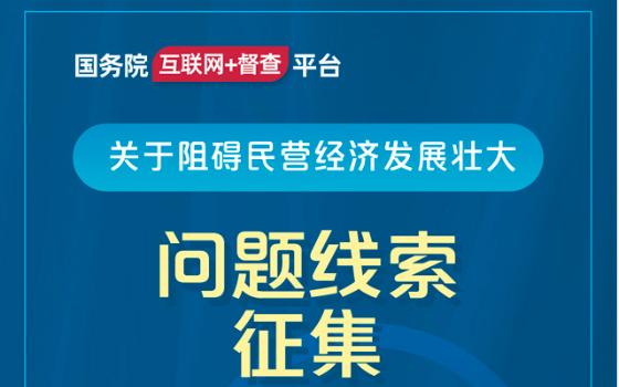 國務(wù)院“互聯(lián)網(wǎng)+督查”